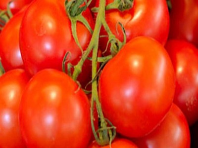 Tomaten