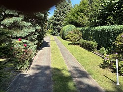 Grünpflege